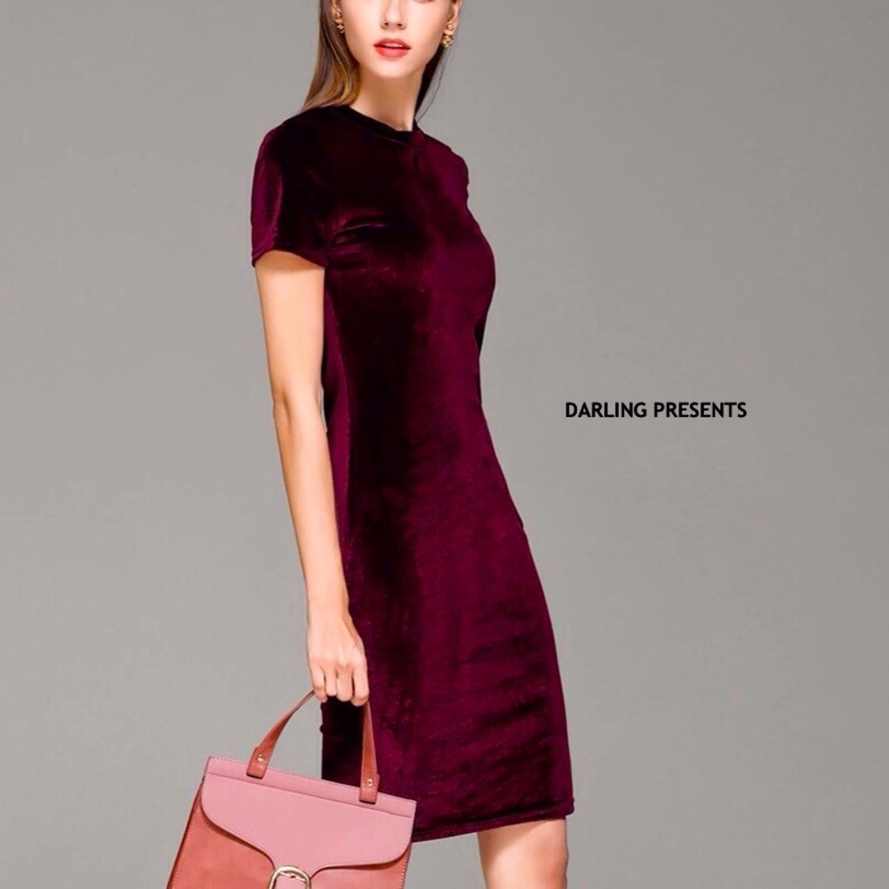 Little Velvet Dress Women Color Burgundy Size L